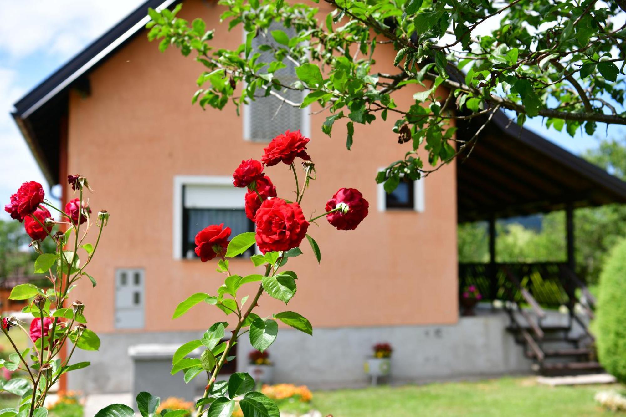 Holiday Home Vukovic Saborsko Zimmer foto